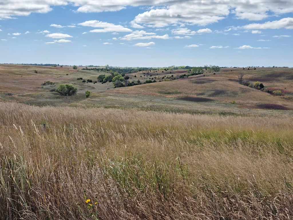 Ashfall Fossil Beds State Historical Park