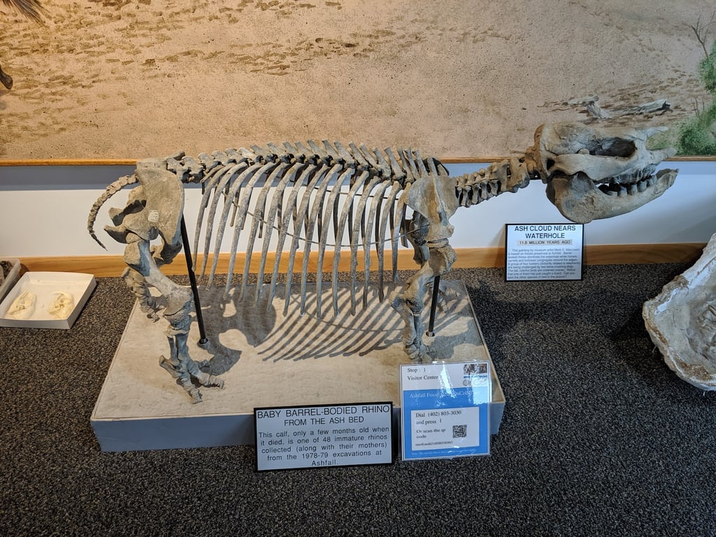 Ashfall Fossil Beds State Historical Park