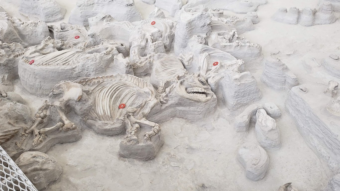 Ashfall Fossil Beds State Historical Park