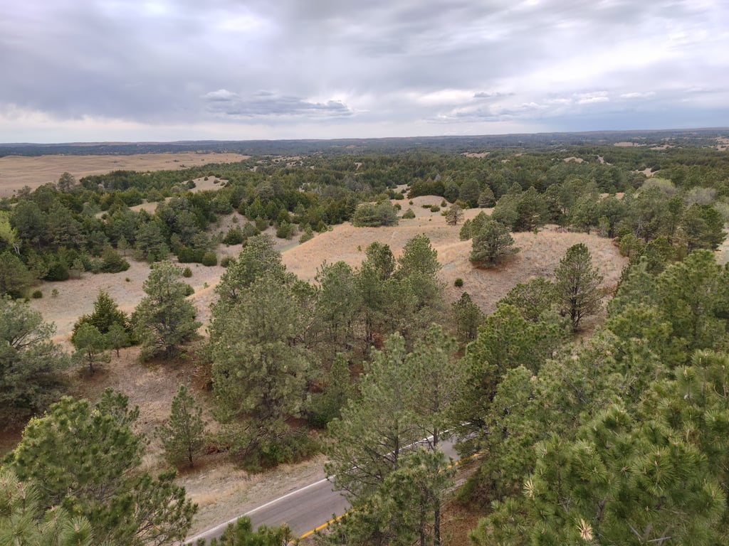 Bessey Ranger District