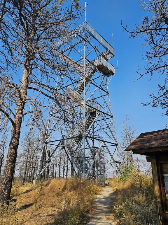 Bessey Ranger District