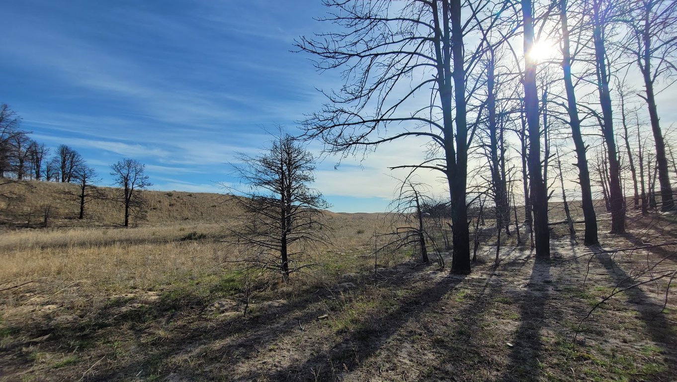 Bessey Ranger District
