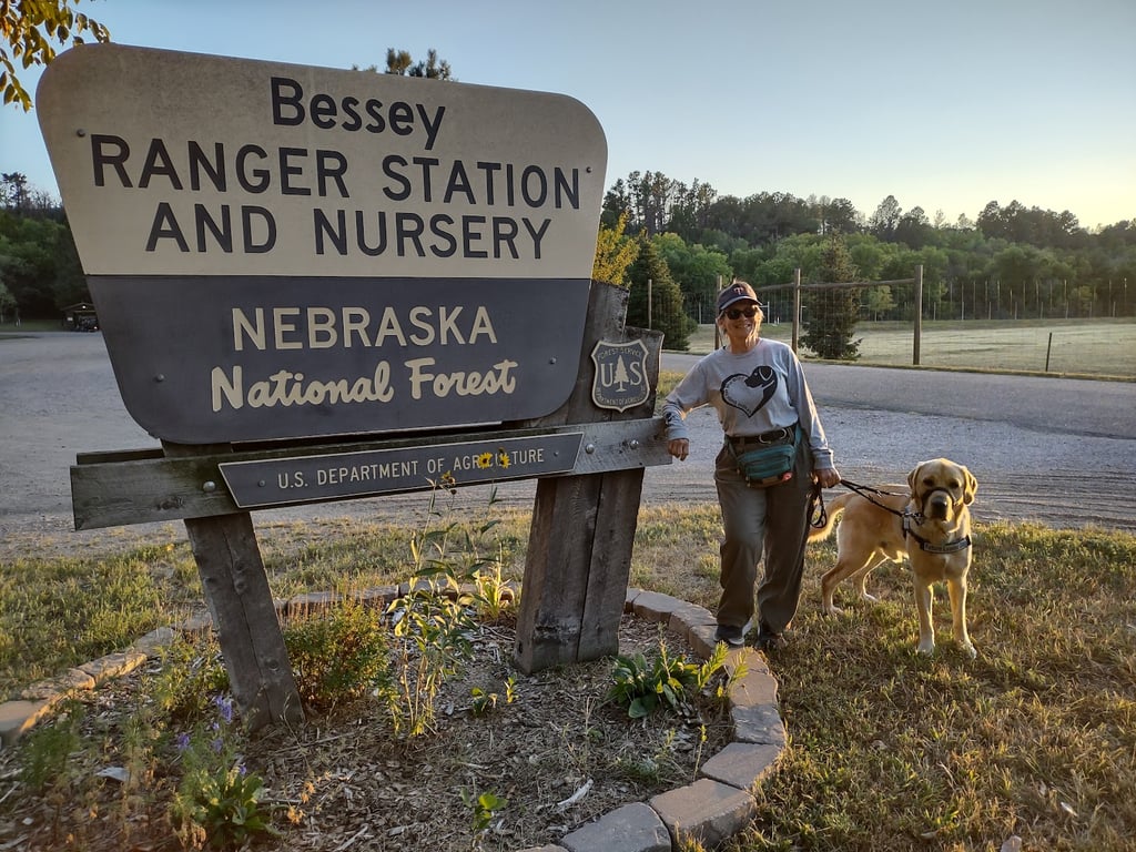 Bessey Ranger District