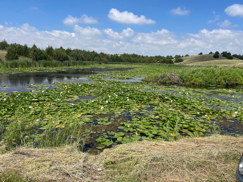 Calamus Reservoir SRA