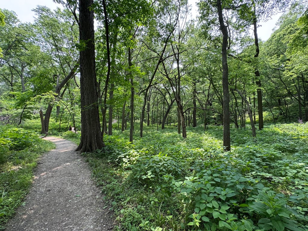 Fontenelle Forest