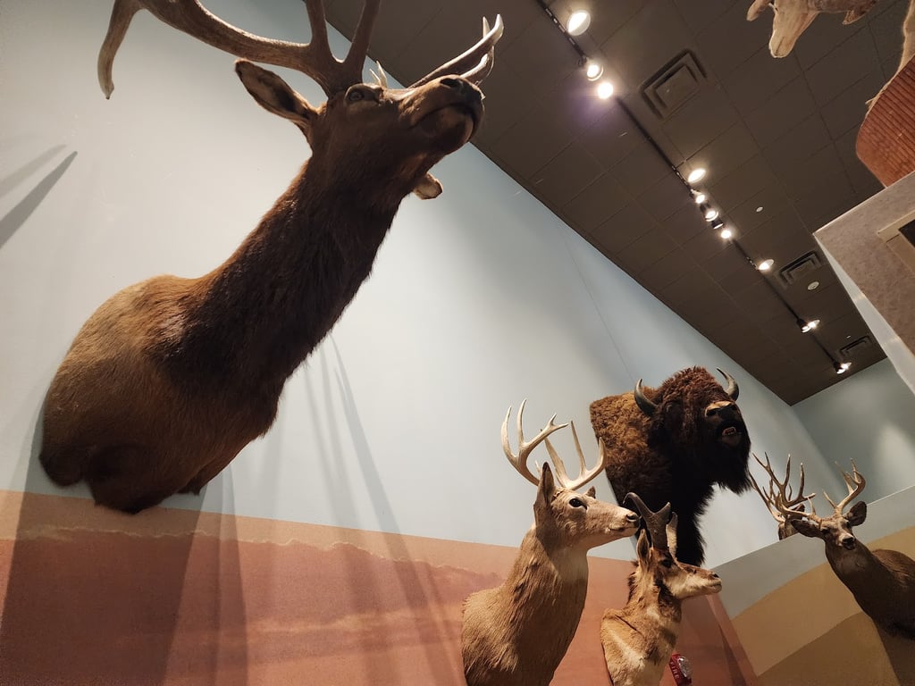 Knight Museum