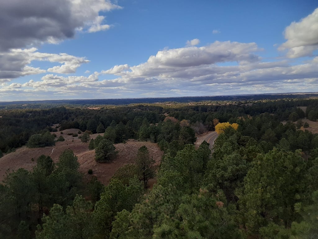 Nebraska National Forest
