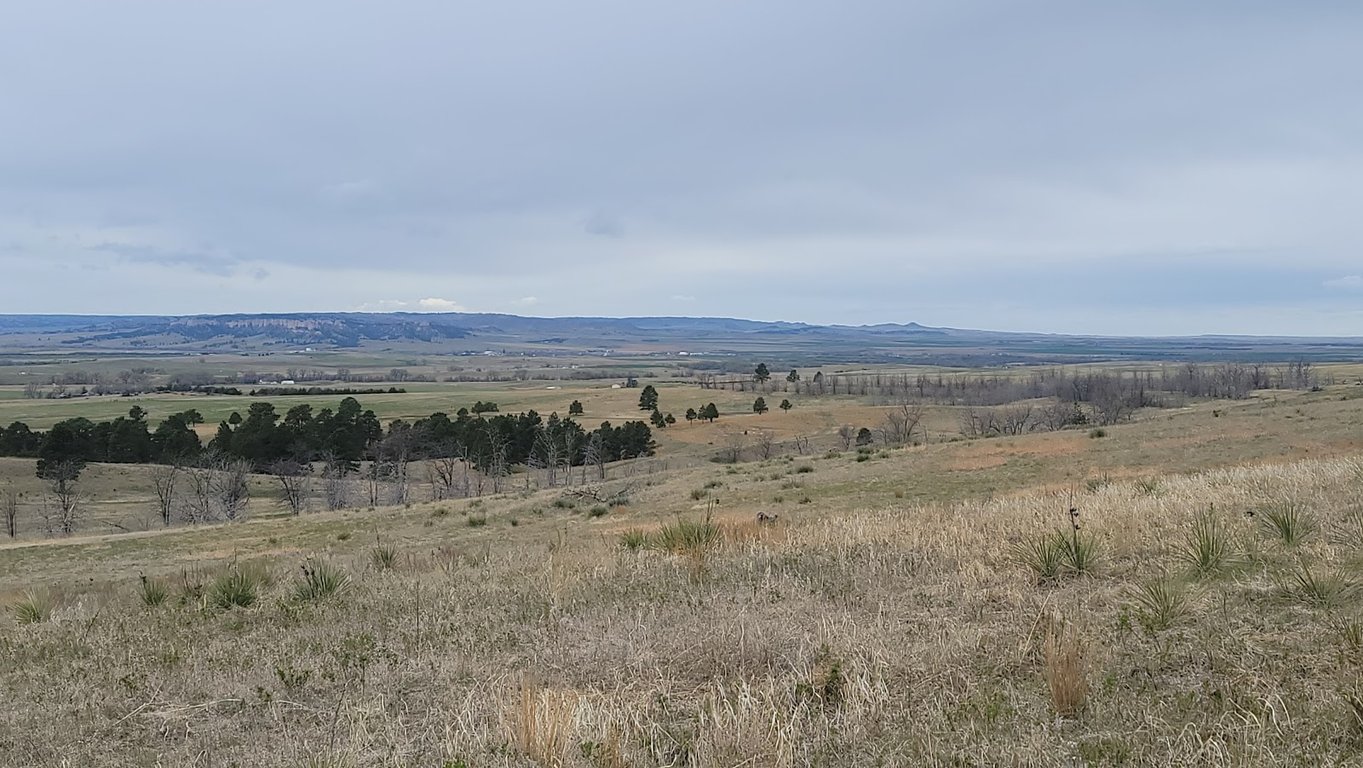 Nebraska National Forest