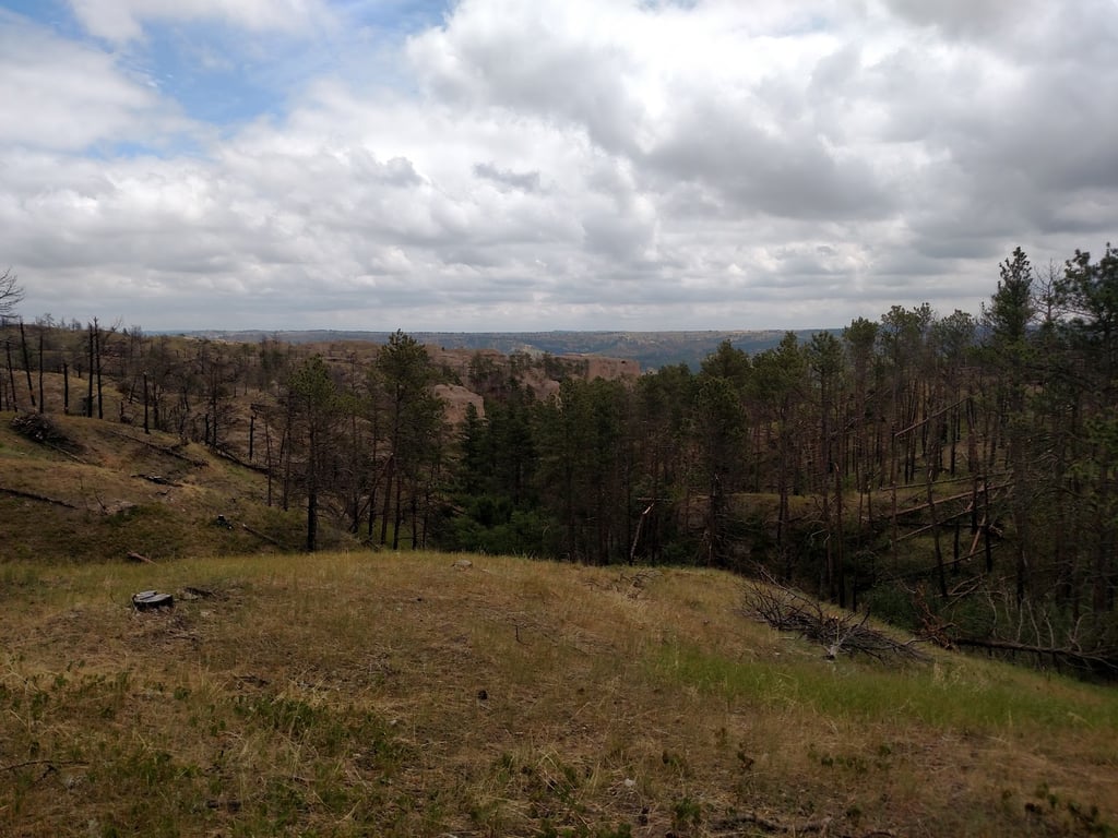 Nebraska National Forest