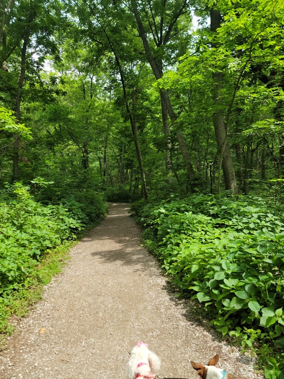 Platte River State Park