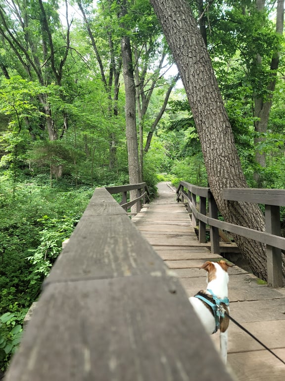 Platte River State Park