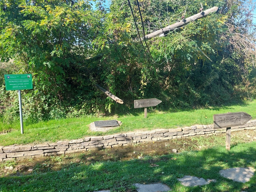 Nerodimë River Bifurcation