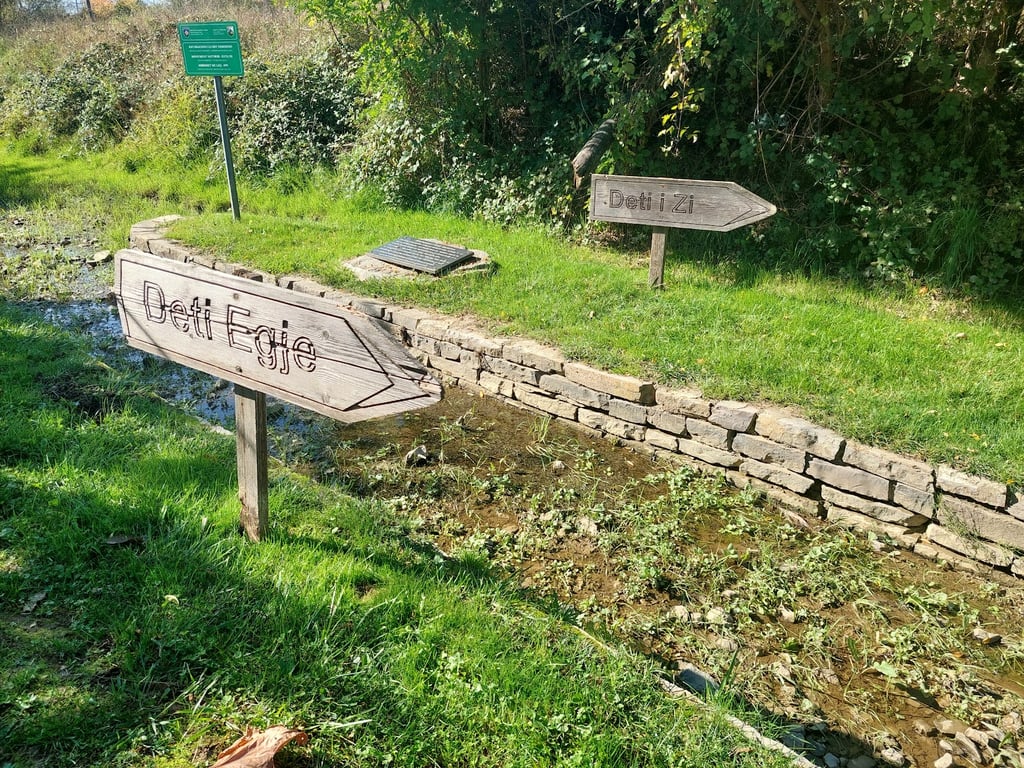 Nerodimë River Bifurcation