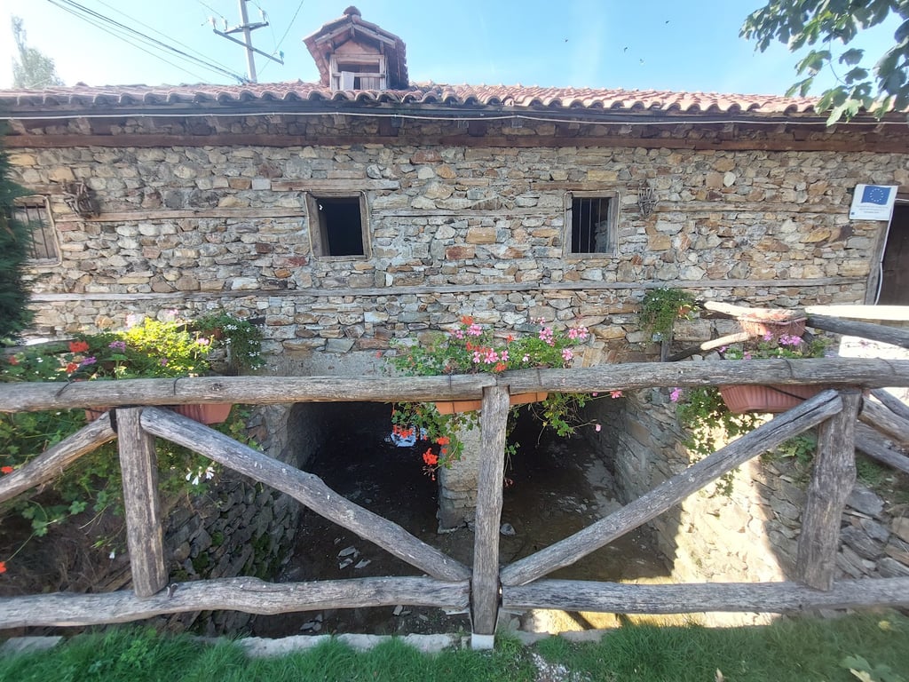 Nerodimë River Bifurcation