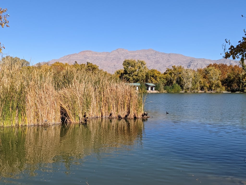 Floyd Lamb Park