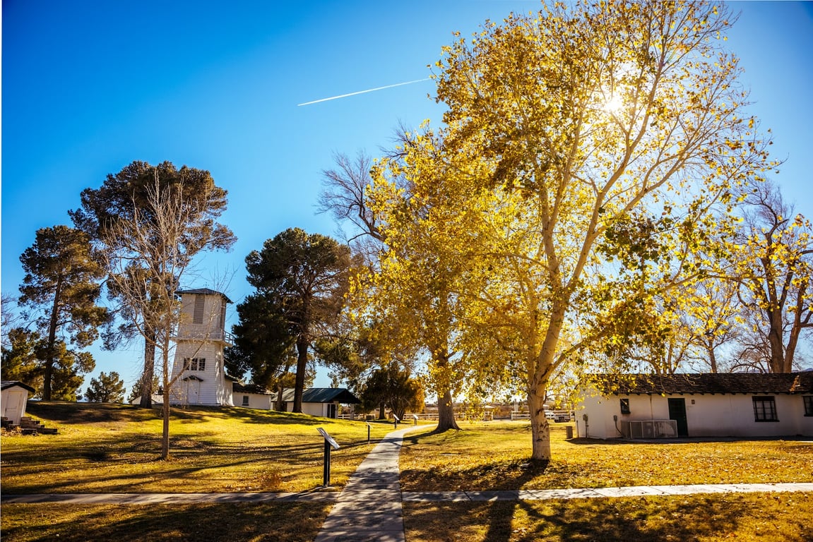 Floyd Lamb Park