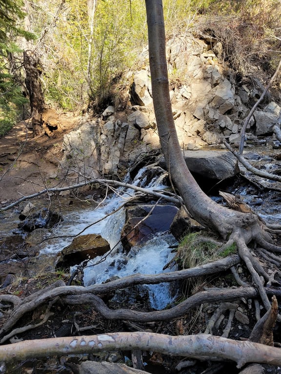 Hunter Creek Trail Waterfall