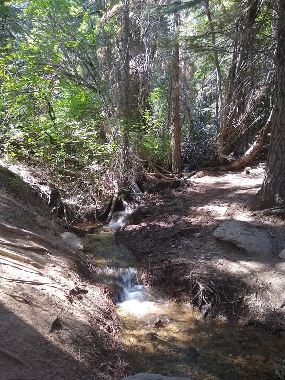 Hunter Creek Trail Waterfall