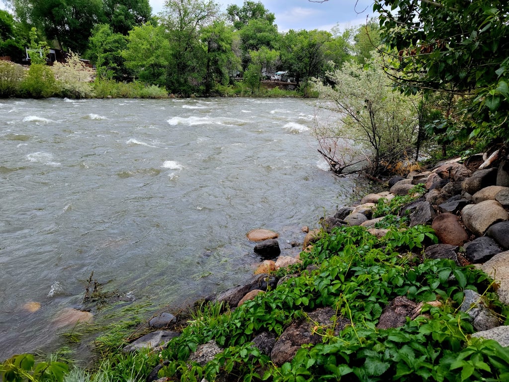 Idlewild Park