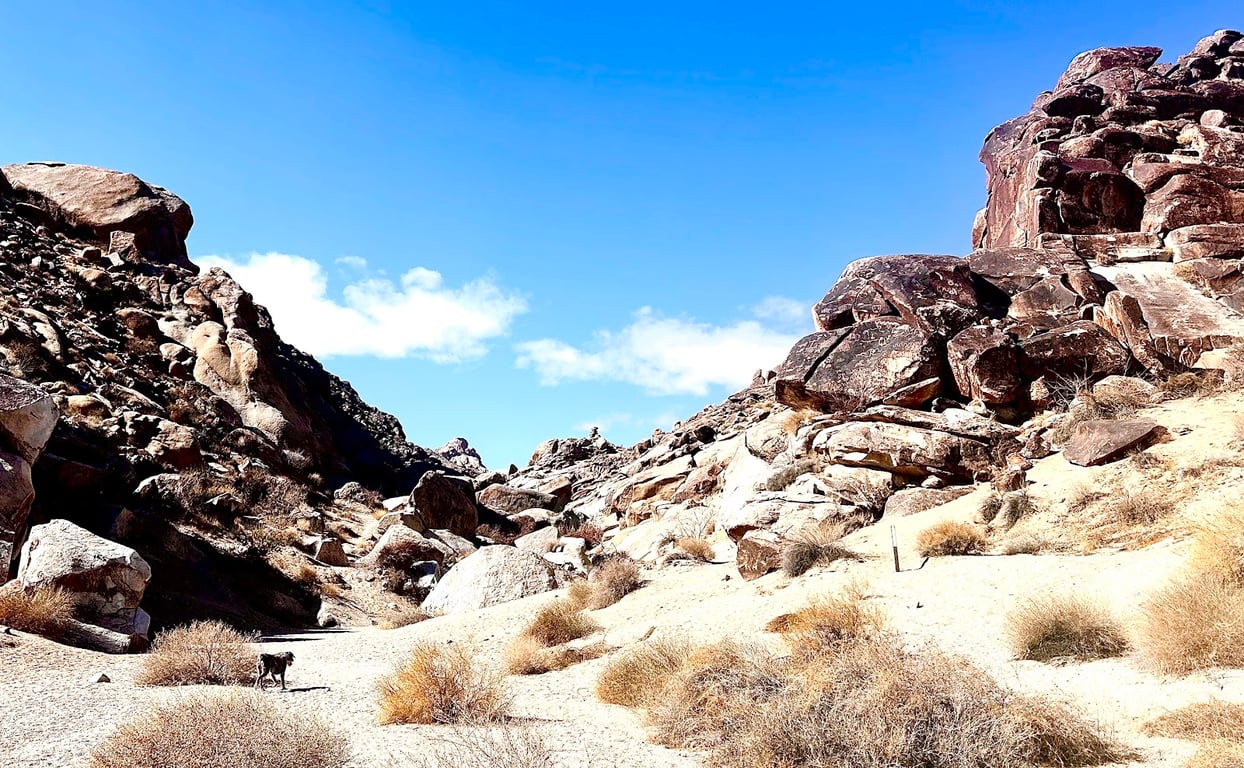 Lake Mead National Recreation Area