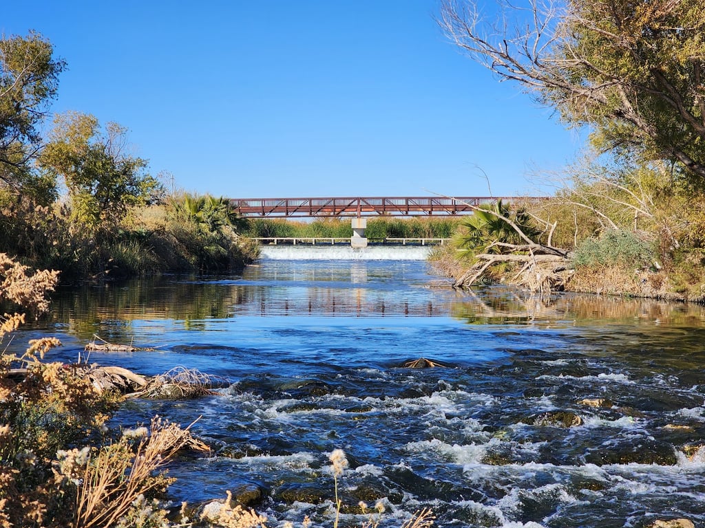 Wetlands Park Nature Preserve