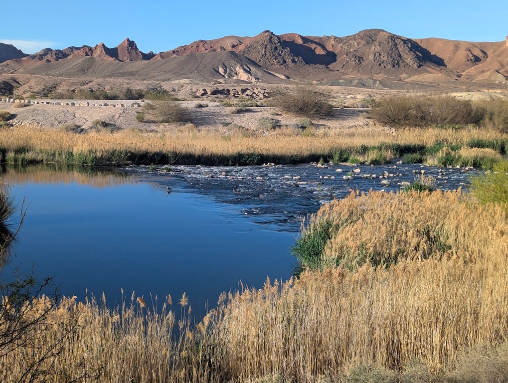 Wetlands Park Nature Preserve