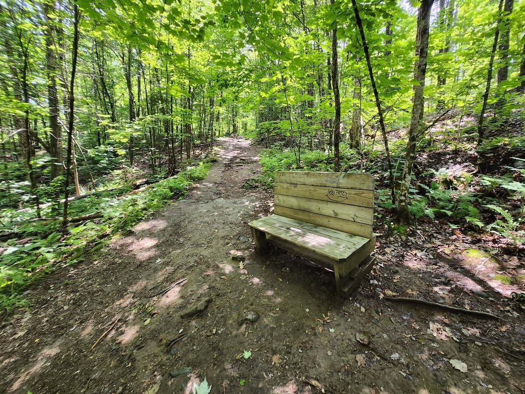 Kilburn Crags Trail Overlook