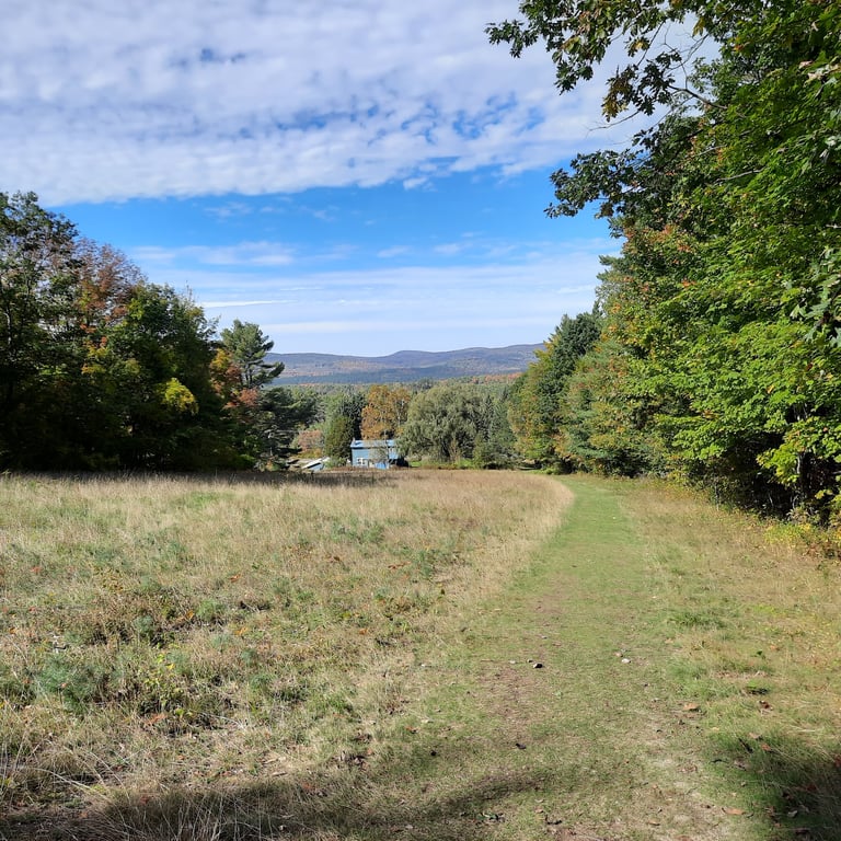 Kilburn Crags Trail Overlook