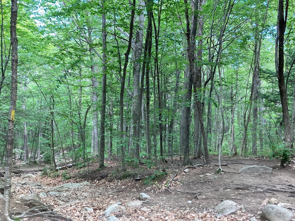 Mount Major