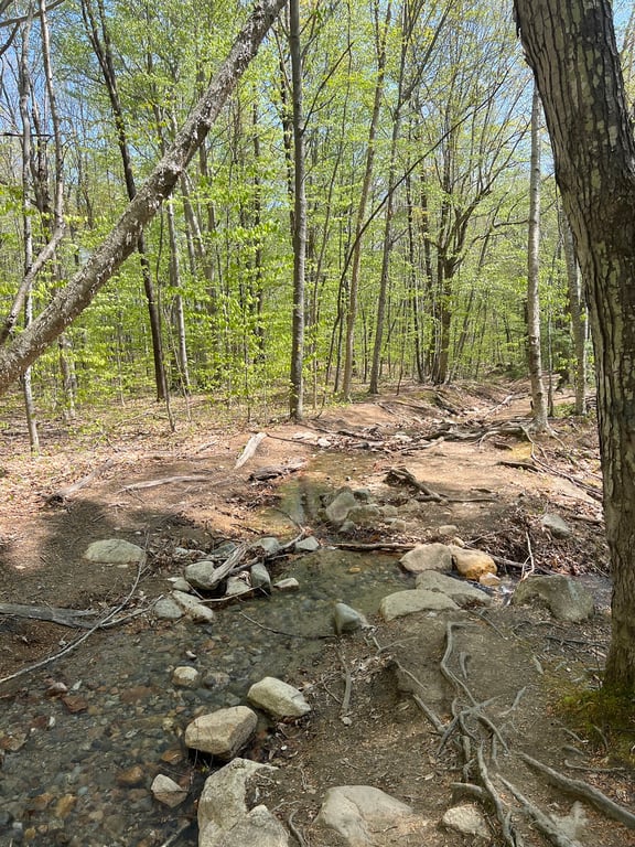 Mount Major