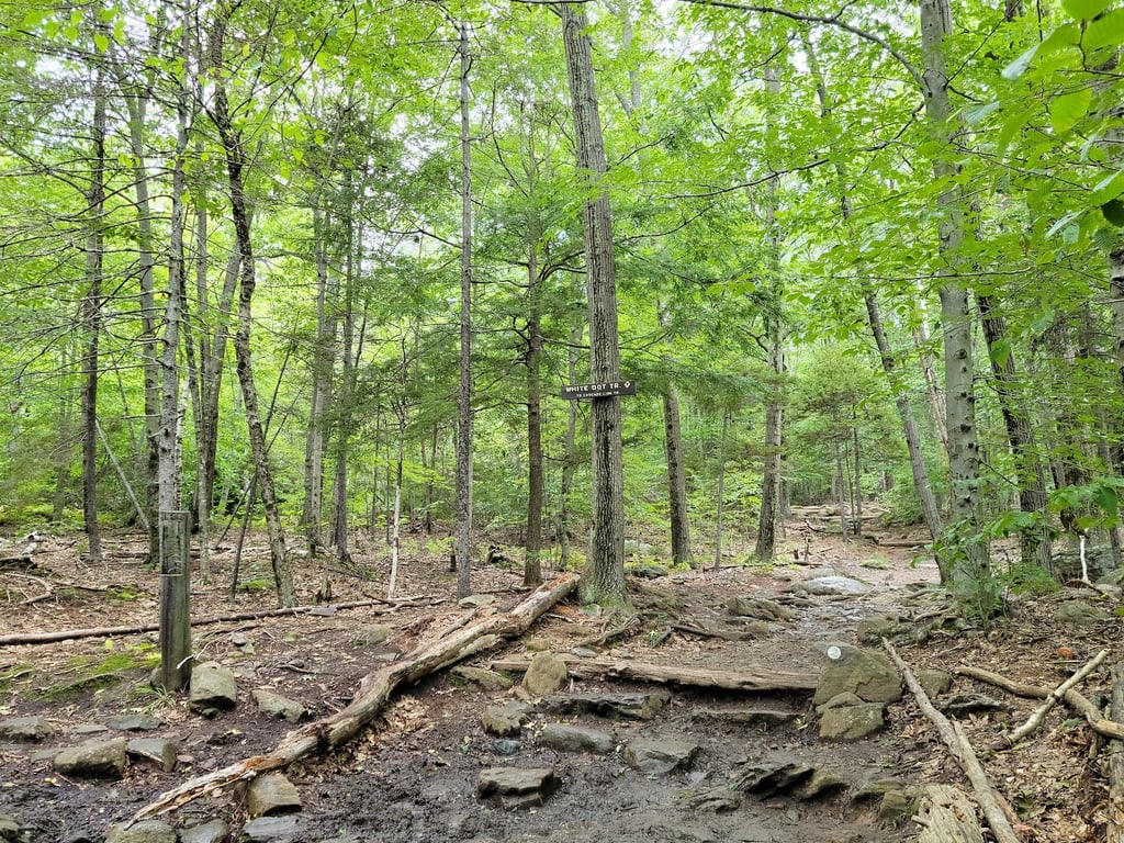 Mount Monadnock