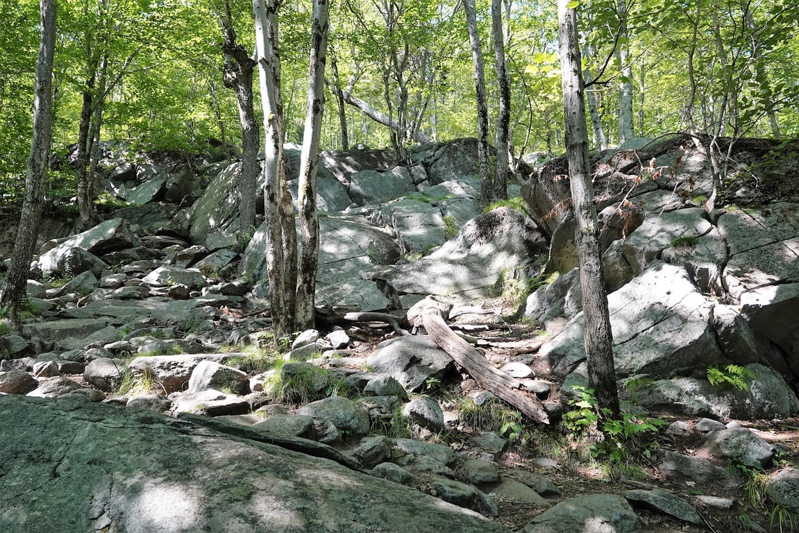 Mount Monadnock