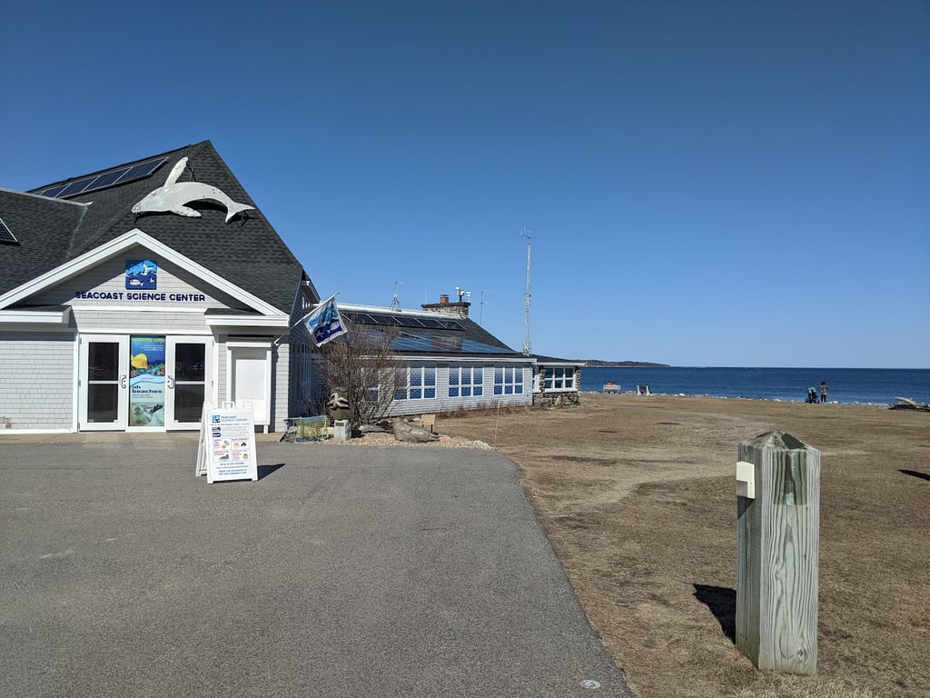 Odiorne Point