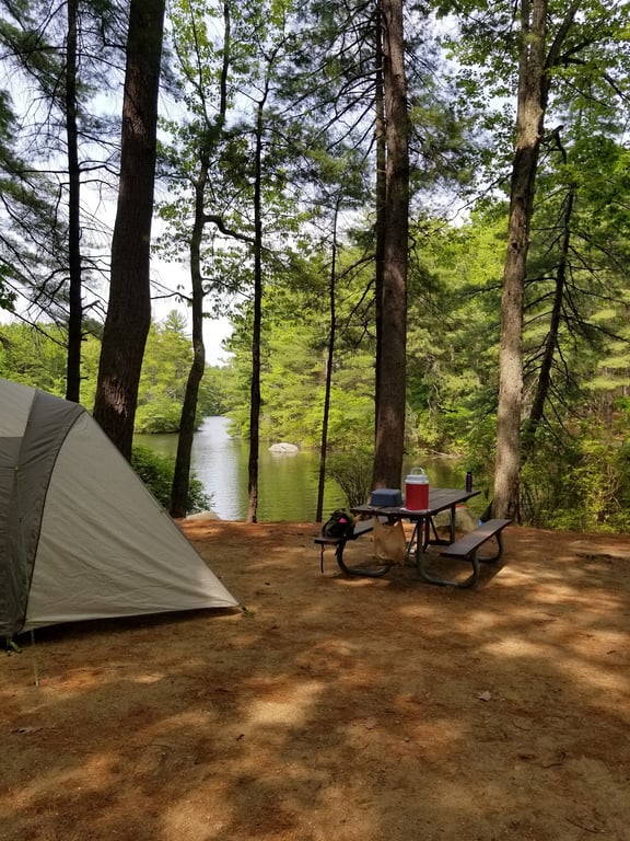 Pawtuckaway State Park