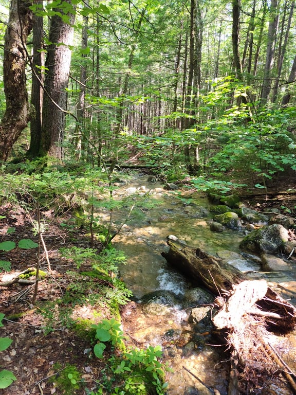 Rocky Gorge Scenic Area