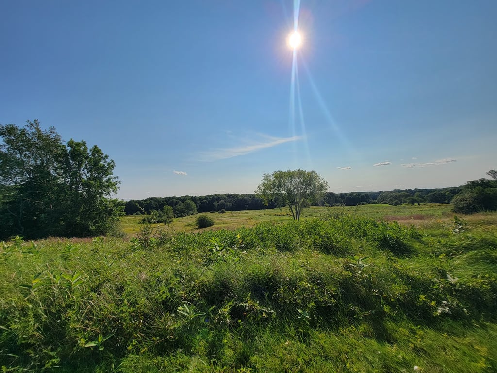 Wagon Hill Farm