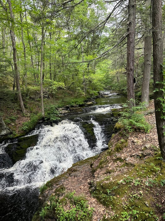 Buttermilk Falls