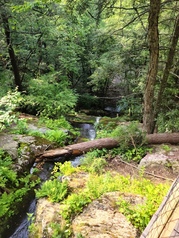 Buttermilk Falls