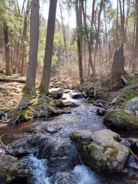 Buttermilk Falls