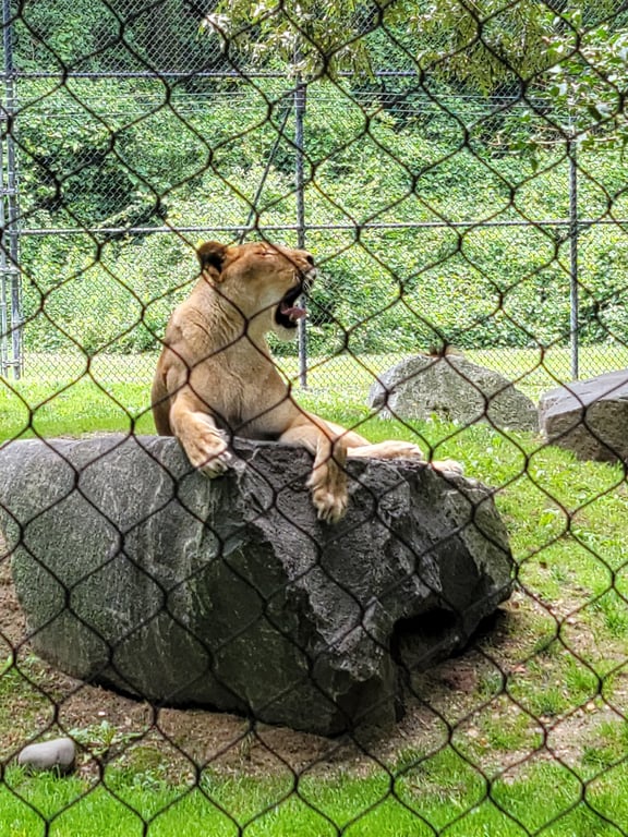 Cape May County Park & Zoo