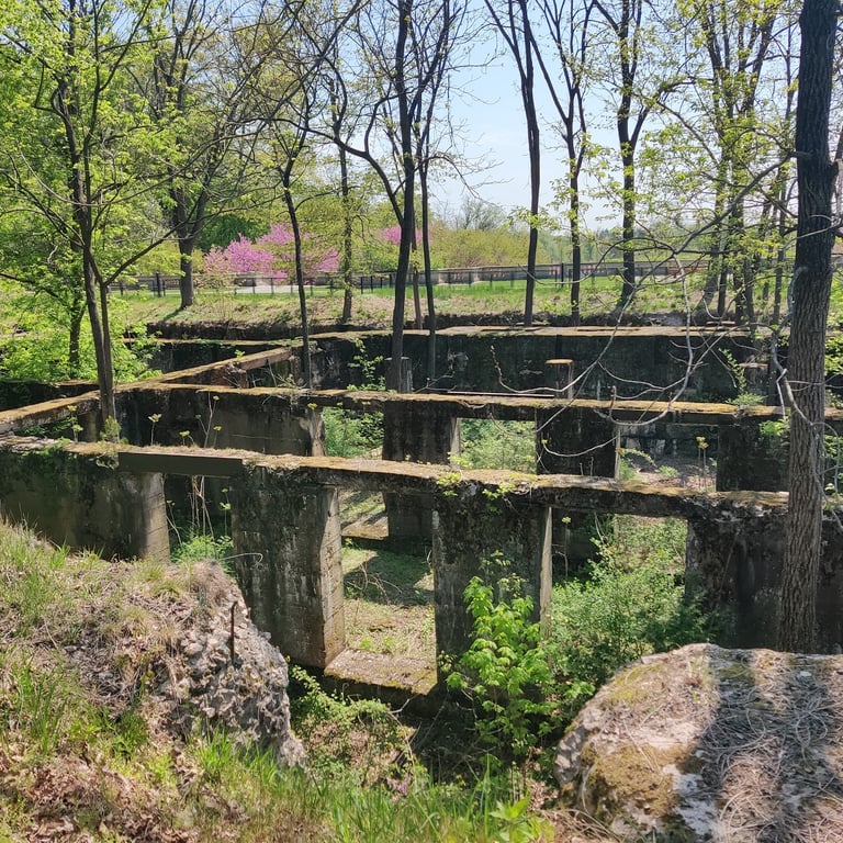 Duke Farms