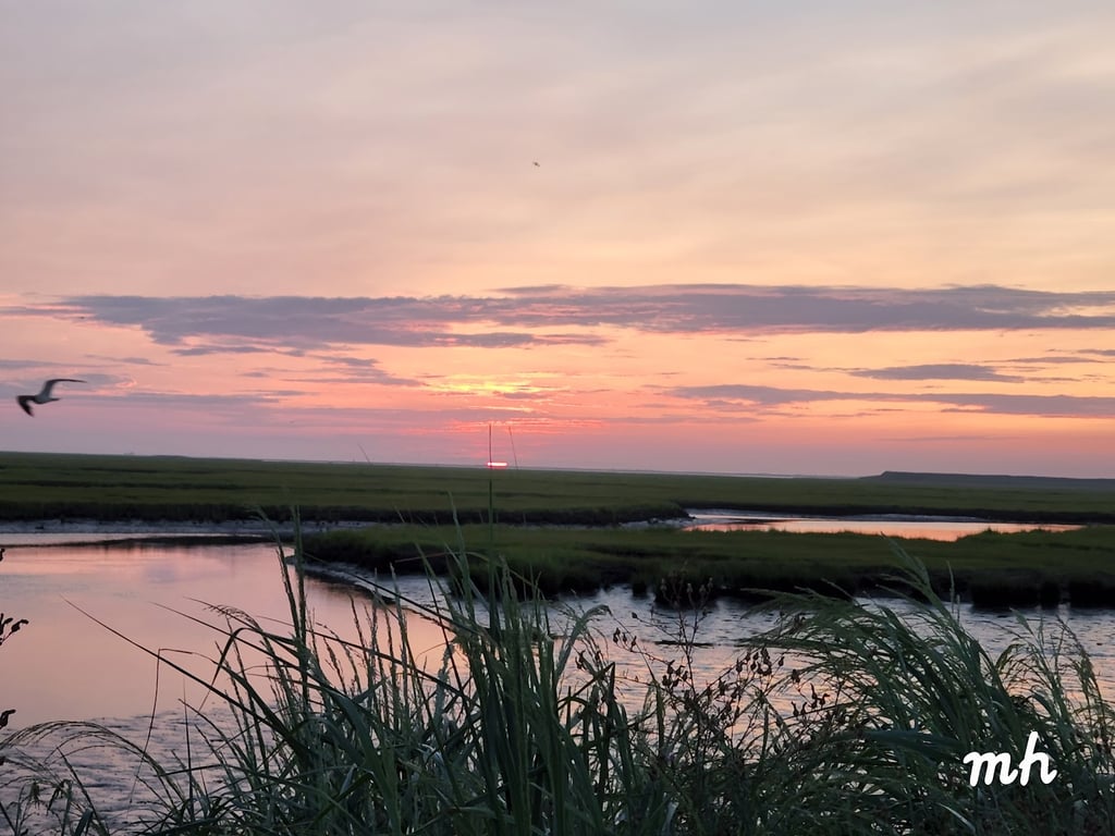 Edwin B. Forsythe NWR