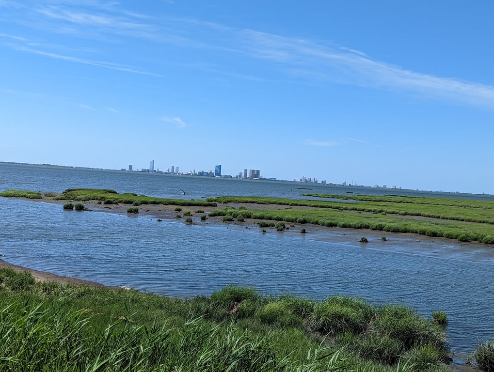 Edwin B. Forsythe NWR