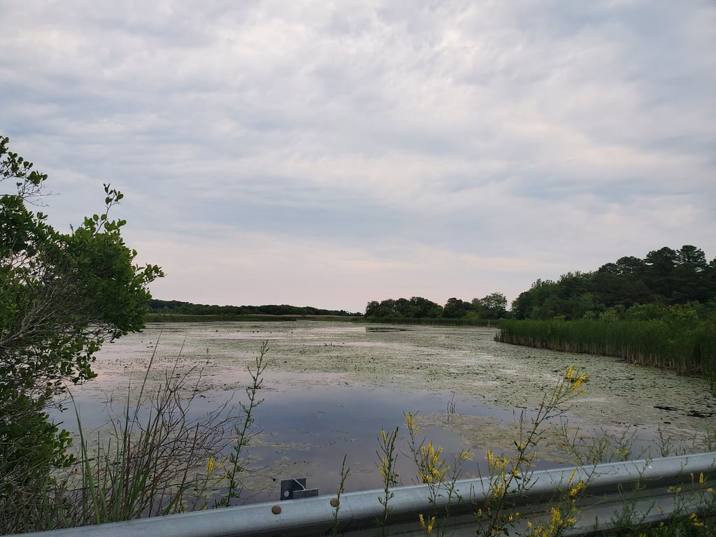 Edwin B. Forsythe NWR