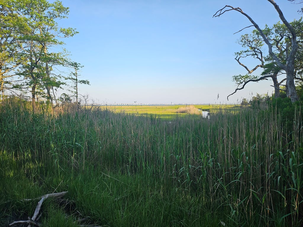 Edwin B. Forsythe NWR