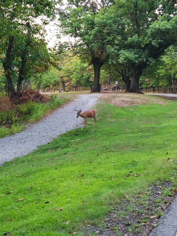 Garret Mountain Reservation