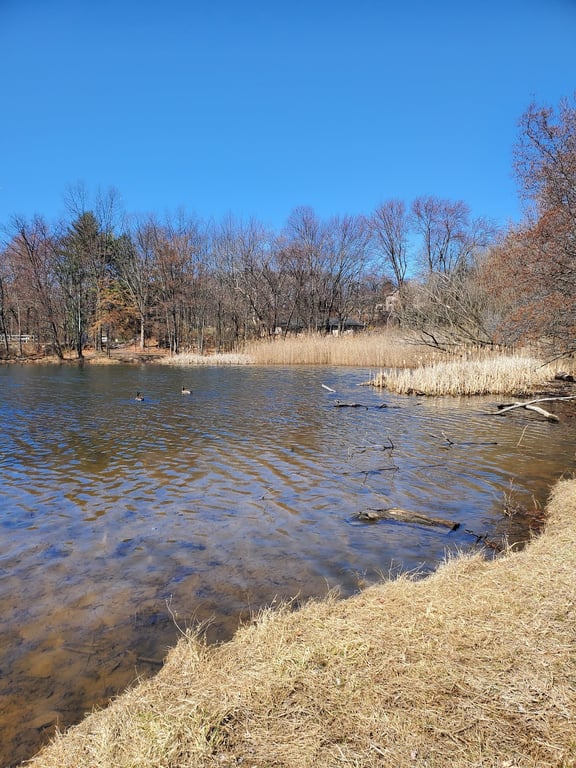 Garret Mountain Reservation