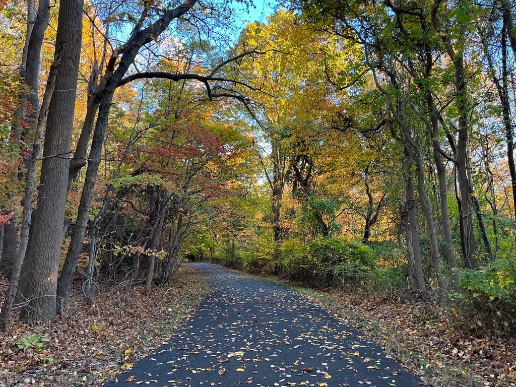 Hartshorne Woods Park
