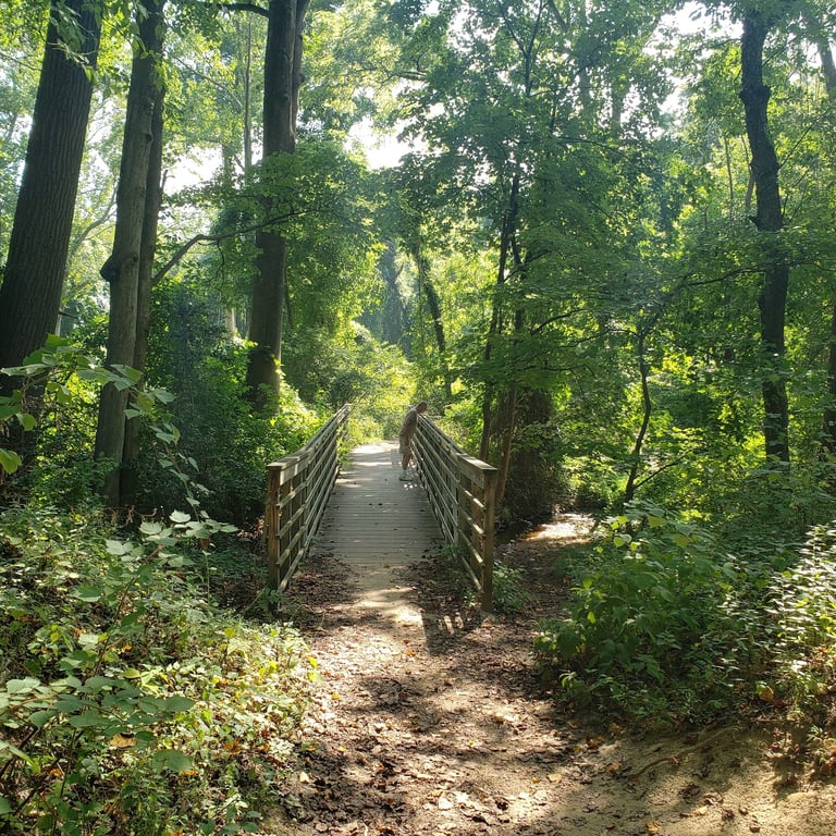 Hartshorne Woods Park