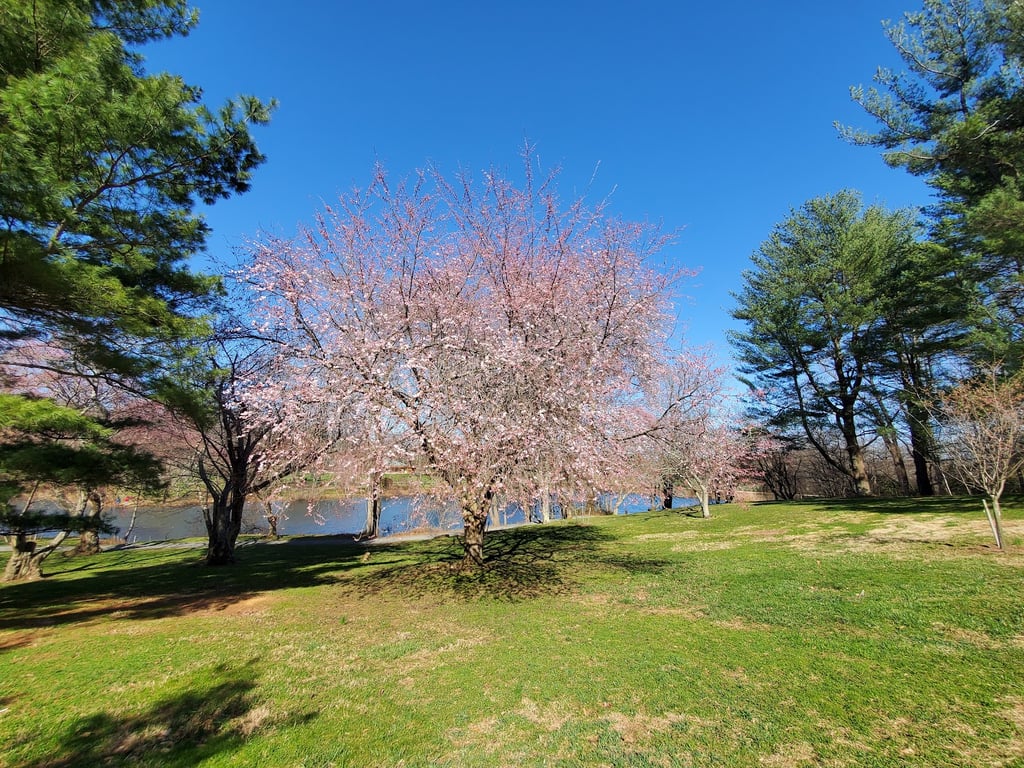 Holmdel Park